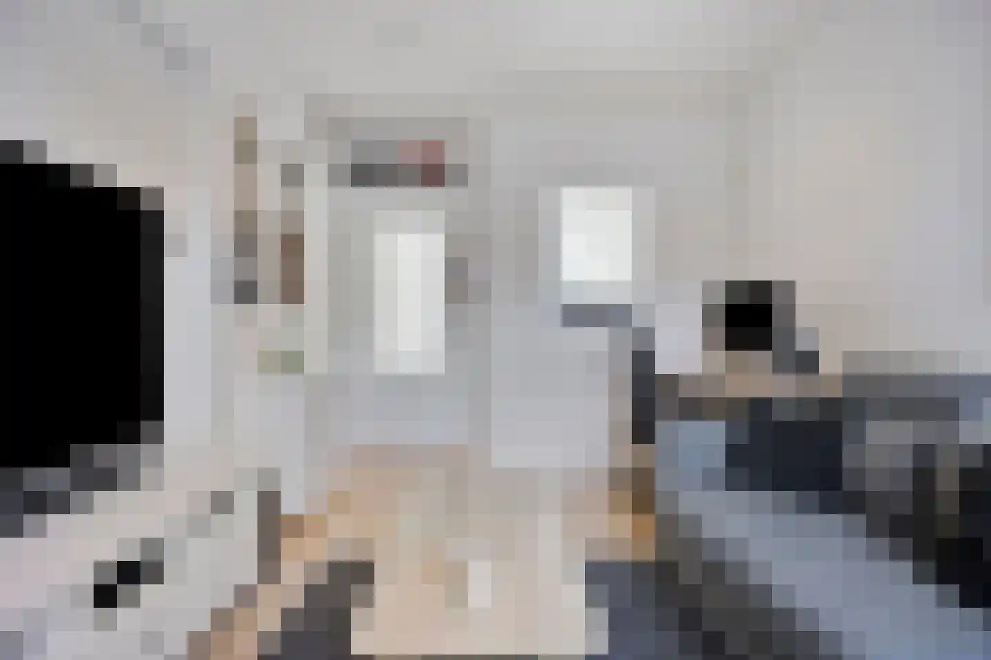 Bosboomstraat 62 Eindhoven thumbnail 10