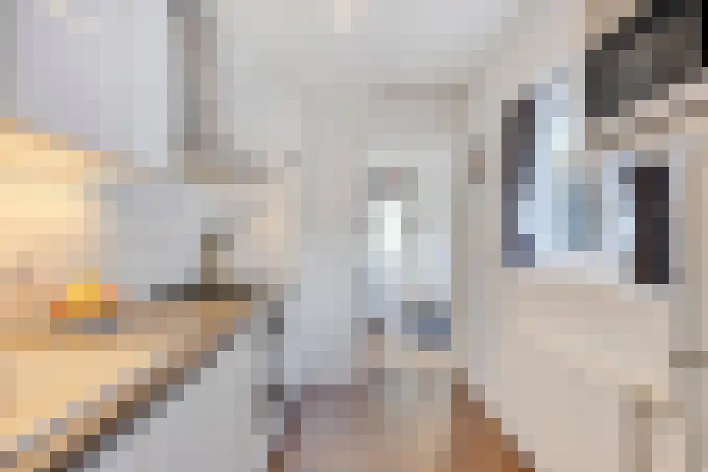 Bosboomstraat 62 Eindhoven thumbnail 12