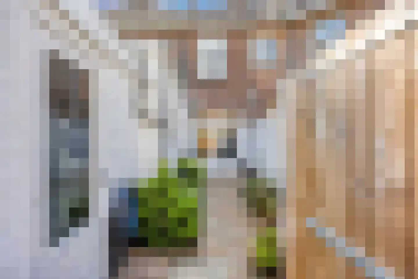 Bosboomstraat 62 Eindhoven thumbnail 24
