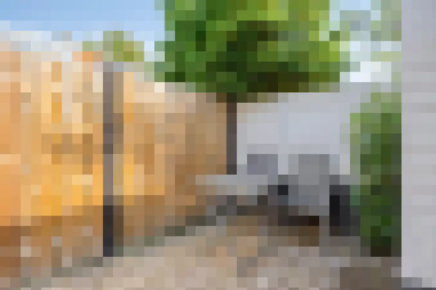 Bosboomstraat 62 Eindhoven thumbnail 5