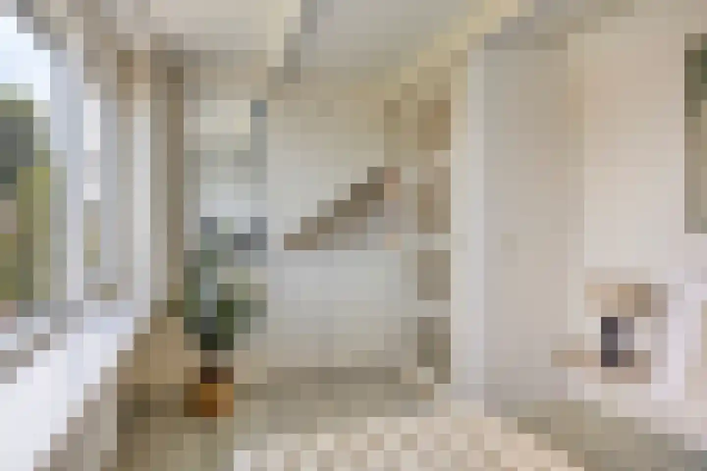 Bosboomstraat 67 A Eindhoven thumbnail 26