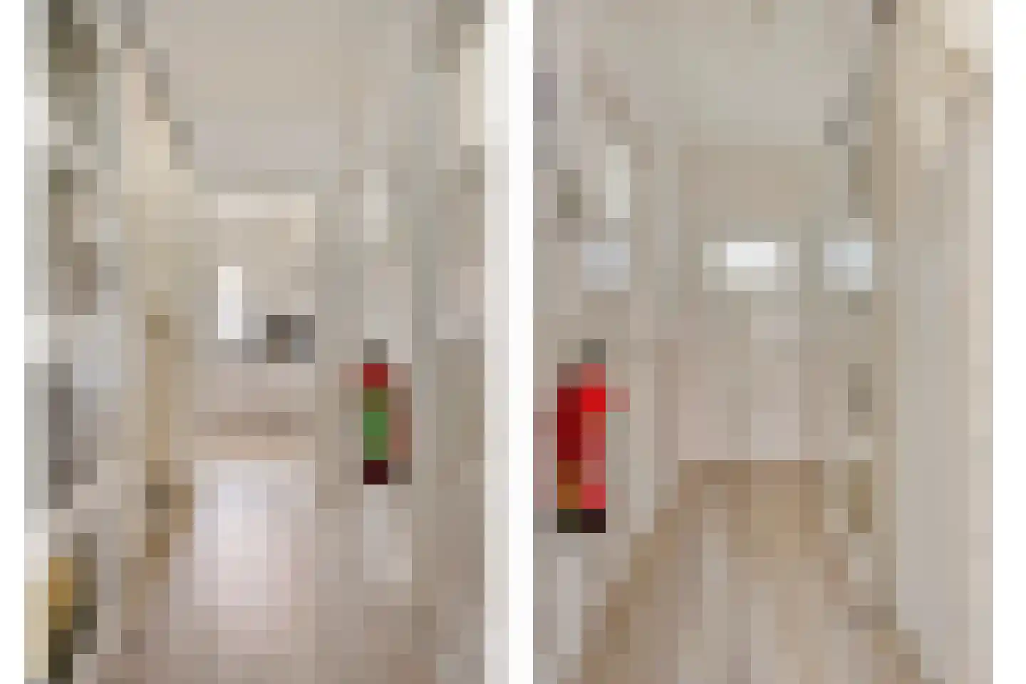 Bosboomstraat 67 A Eindhoven thumbnail 5