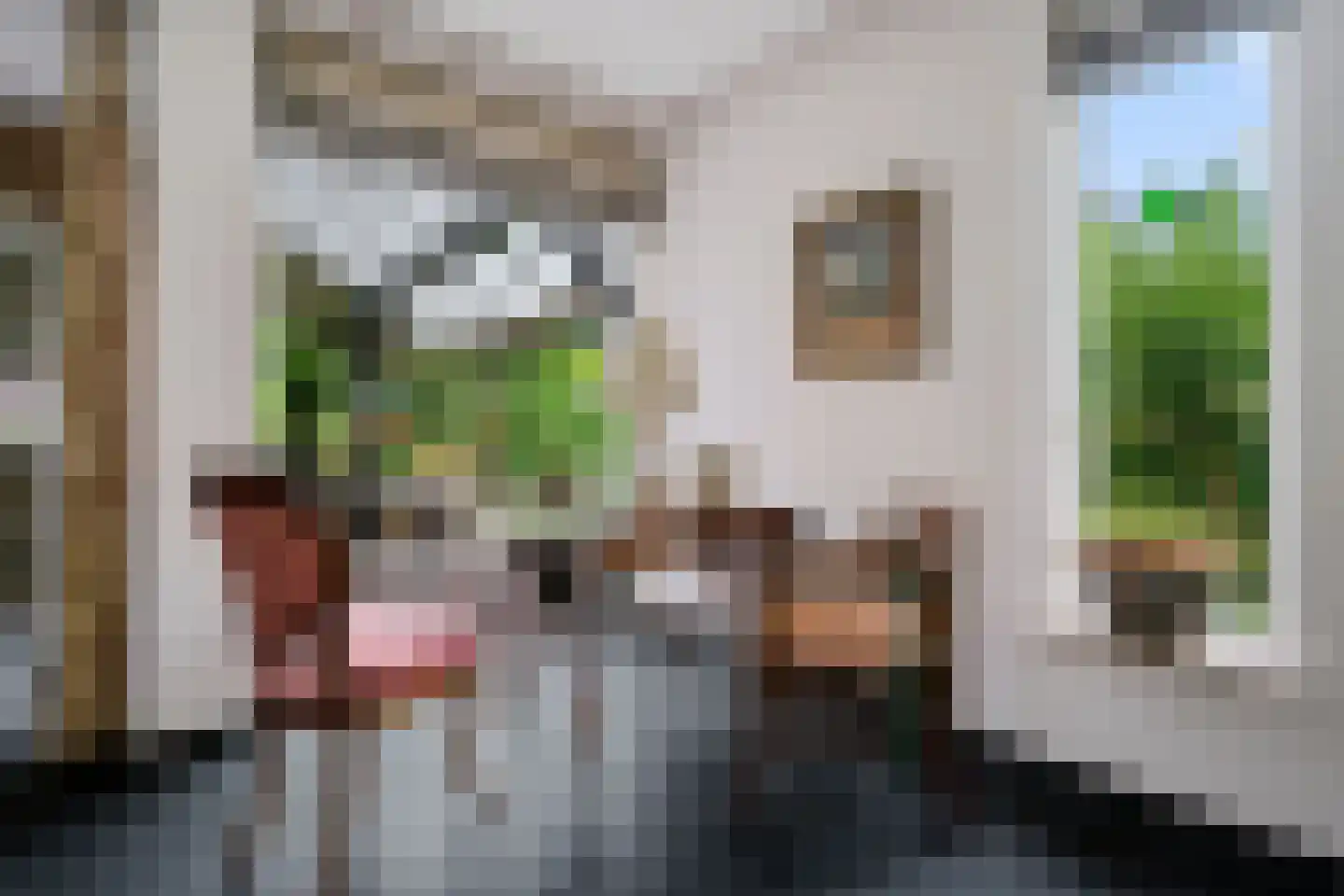 Bosbouwkamp 16 Vledder thumbnail 15