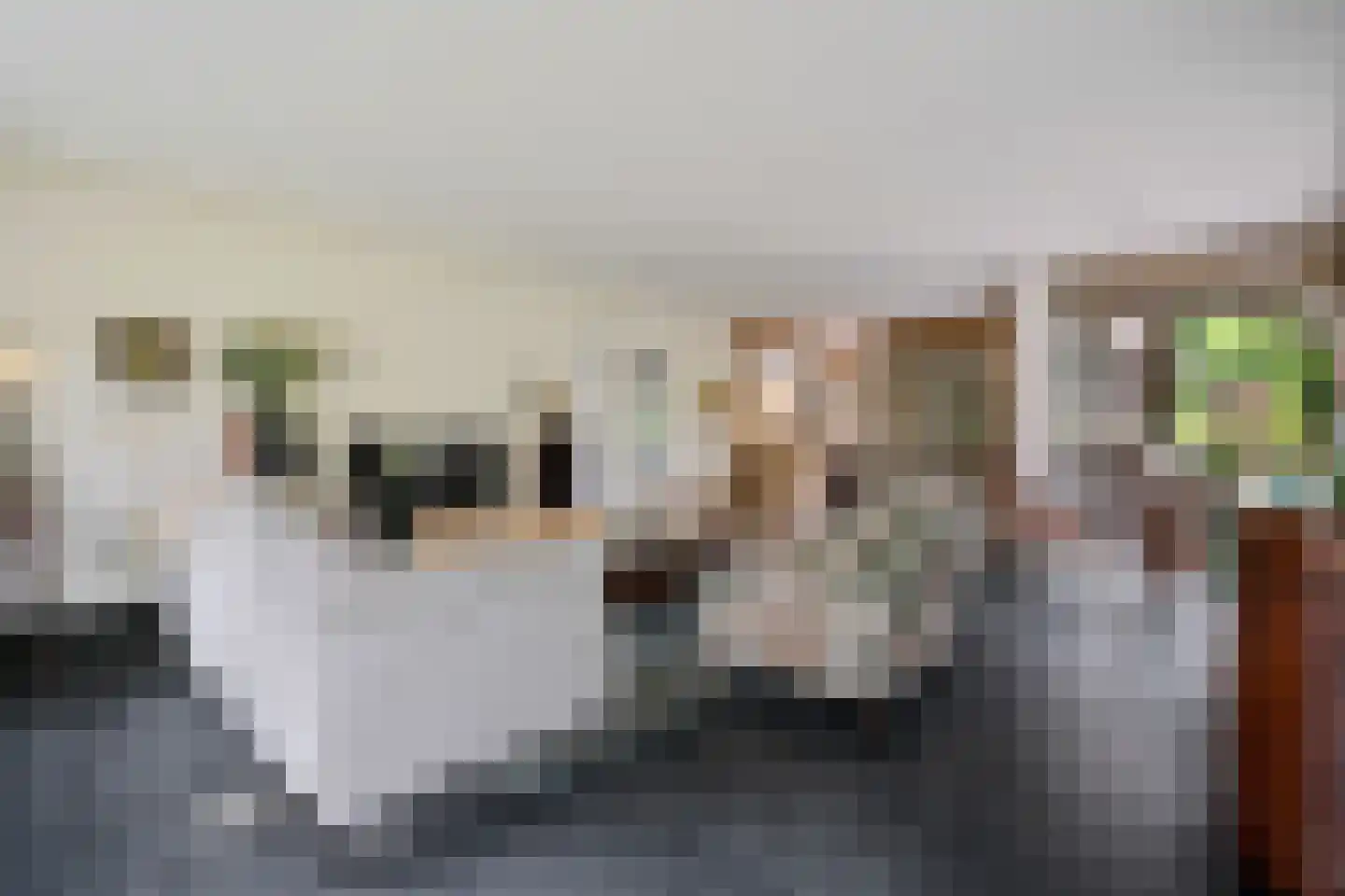 Bosbouwkamp 16 Vledder thumbnail 17