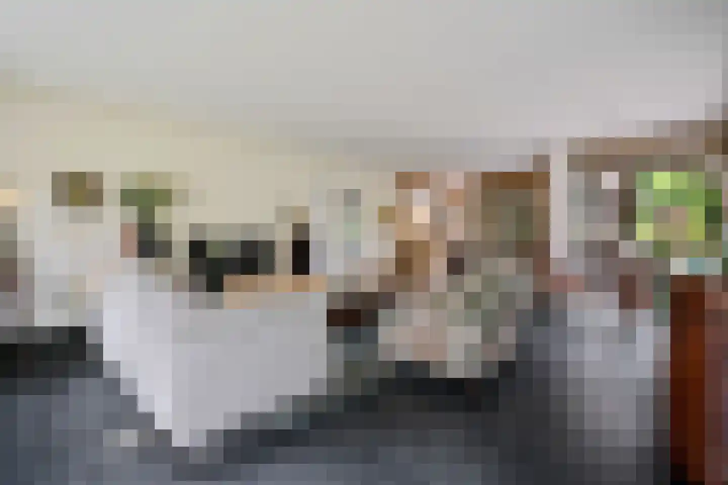Bosbouwkamp 16 Vledder thumbnail 17