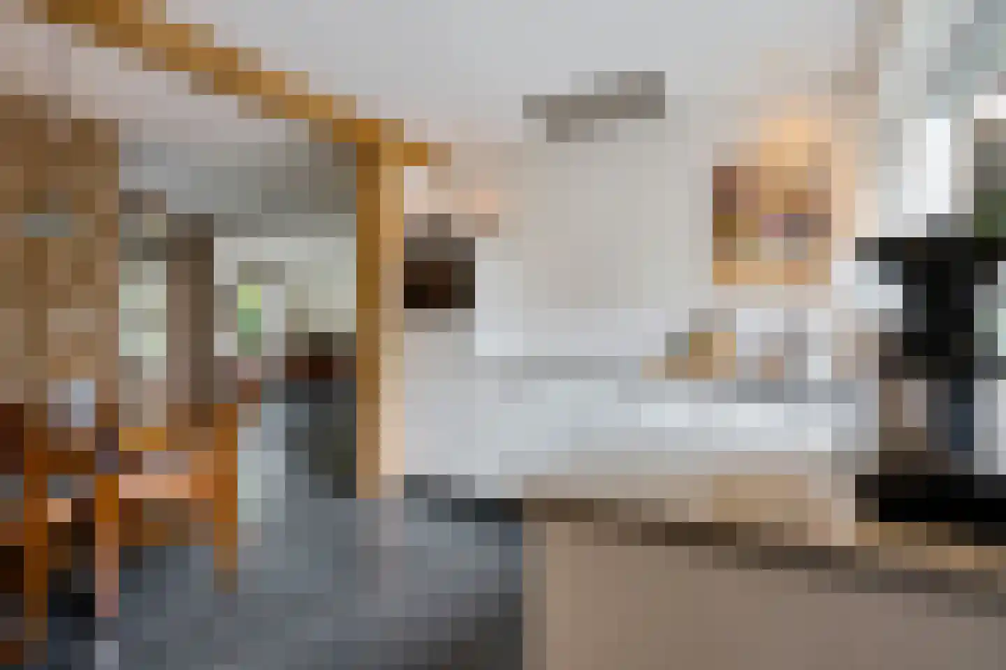 Bosbouwkamp 16 Vledder thumbnail 22