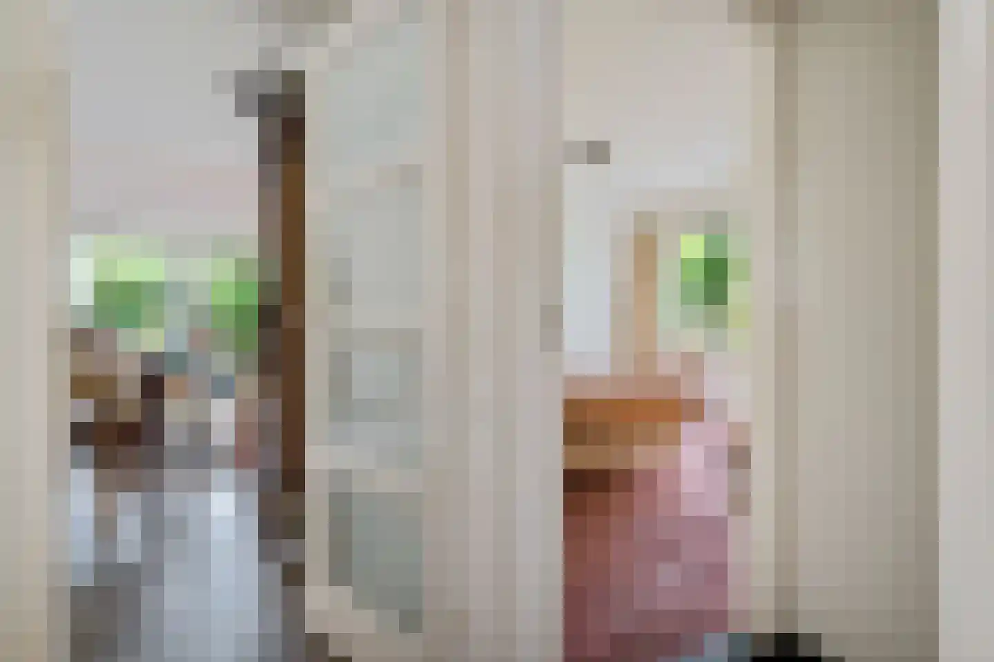 Bosbouwkamp 16 Vledder thumbnail 24