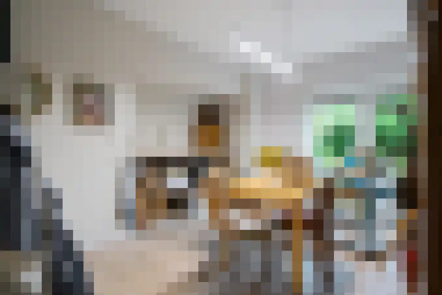 Bosbouwkamp 16 Vledder thumbnail 32