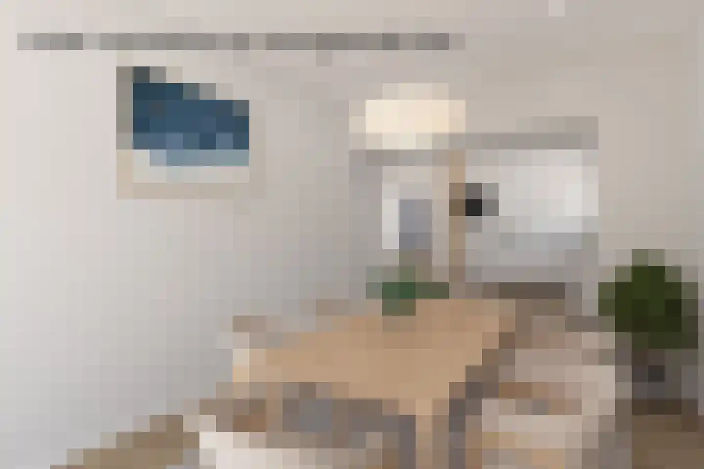 Bosbouwkamp 16 Vledder thumbnail 34