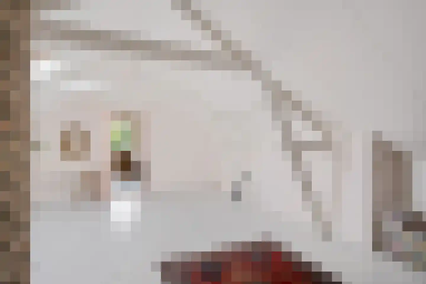 Bosbouwkamp 16 Vledder thumbnail 38