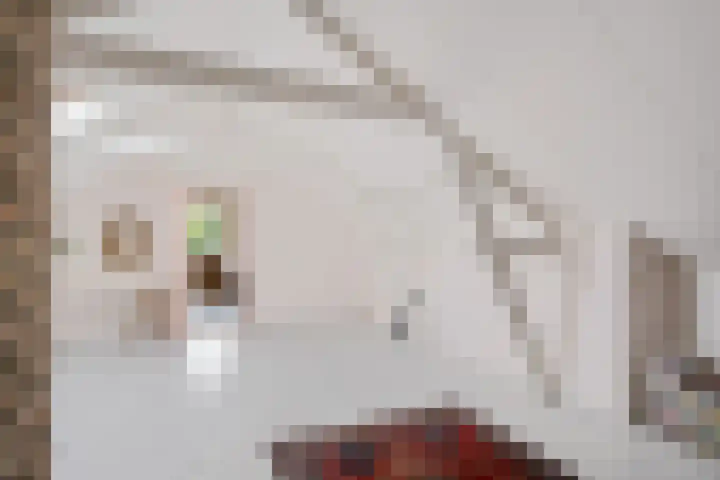 Bosbouwkamp 16 Vledder thumbnail 38
