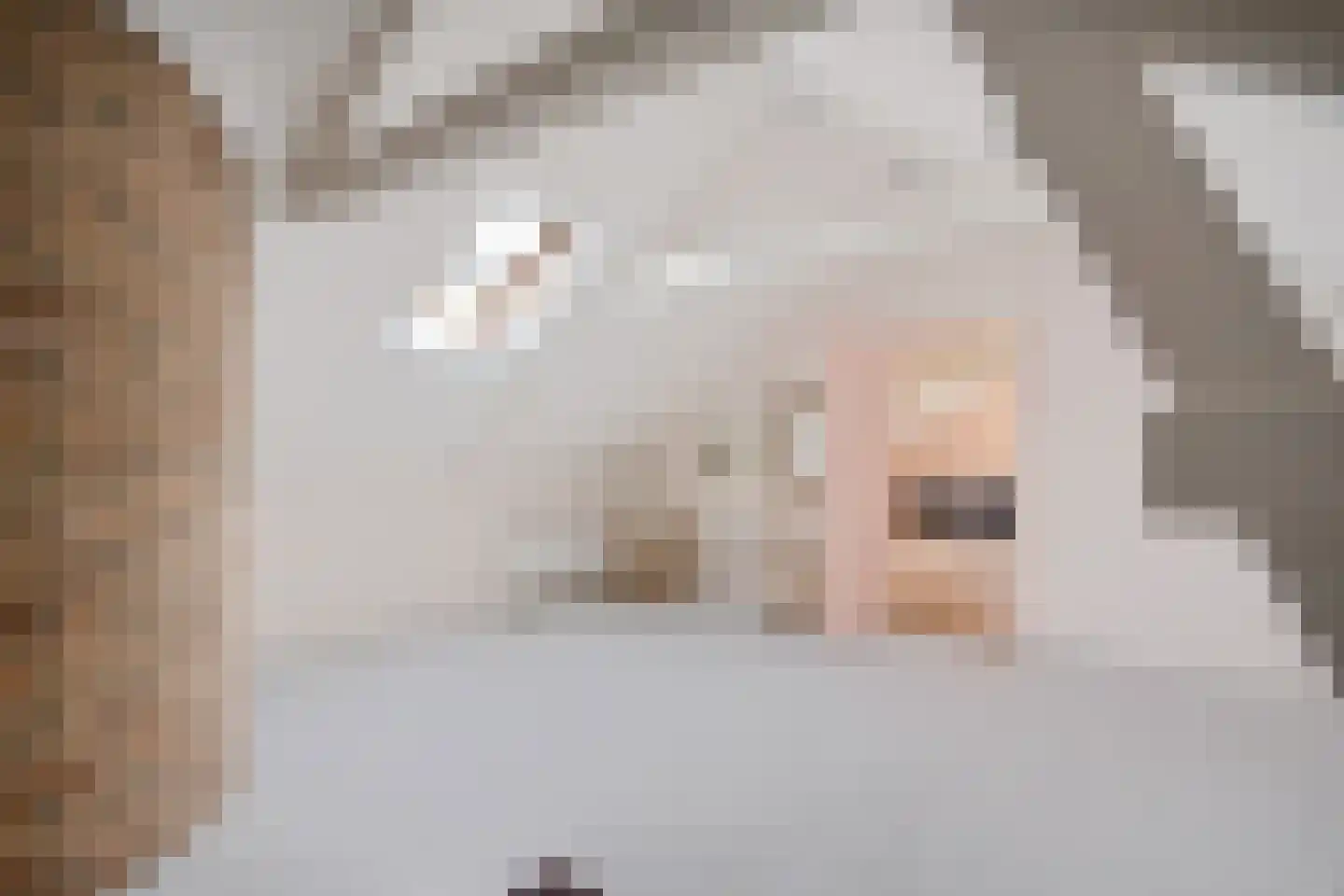 Bosbouwkamp 16 Vledder thumbnail 39