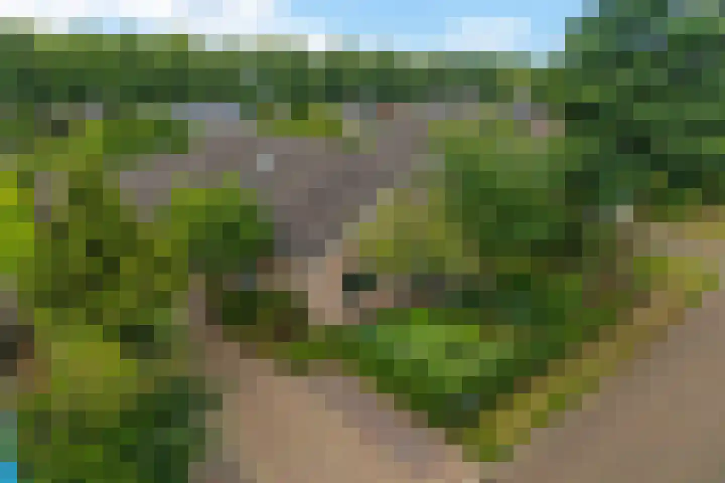 Bosbouwkamp 16 Vledder thumbnail 4