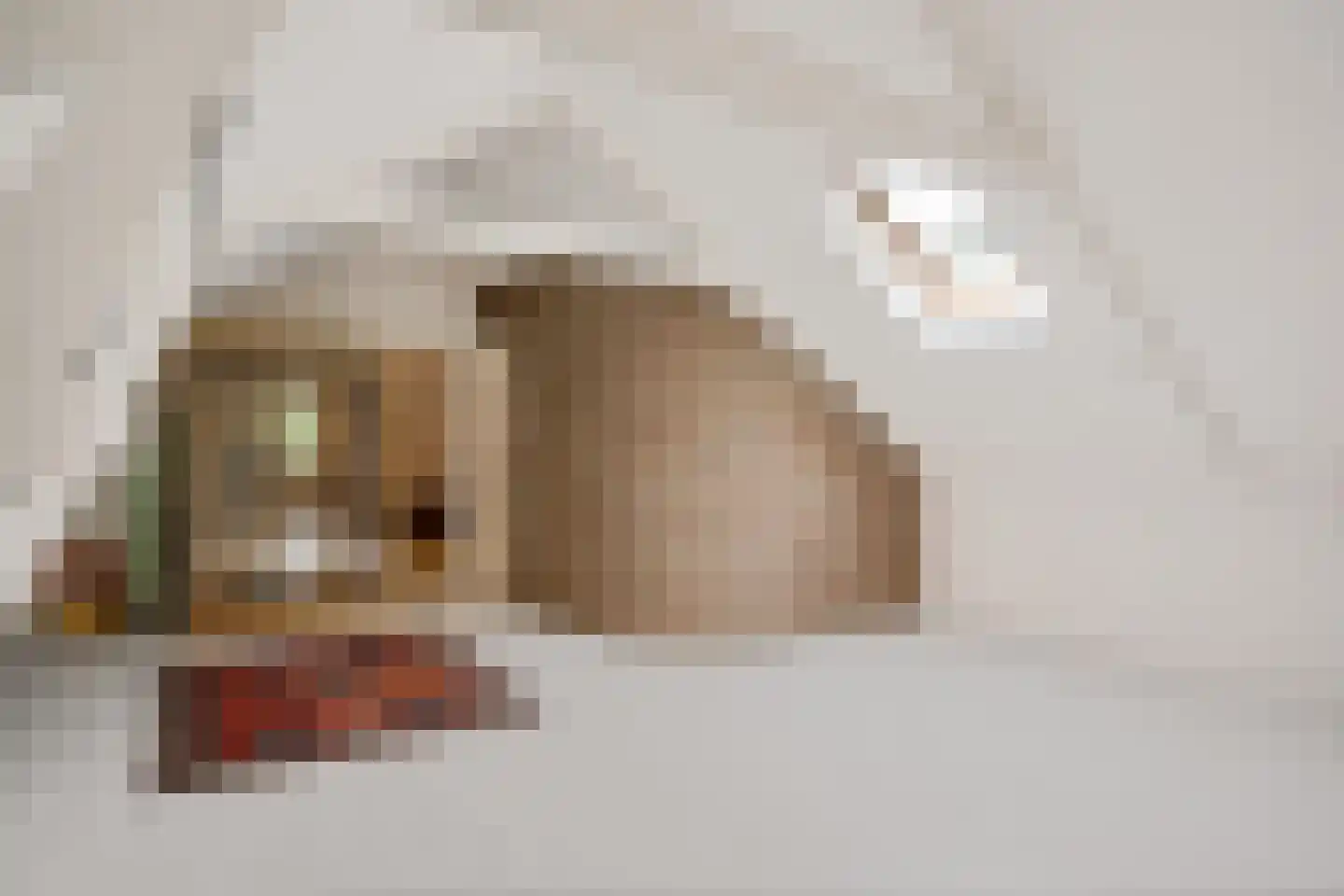 Bosbouwkamp 16 Vledder thumbnail 40