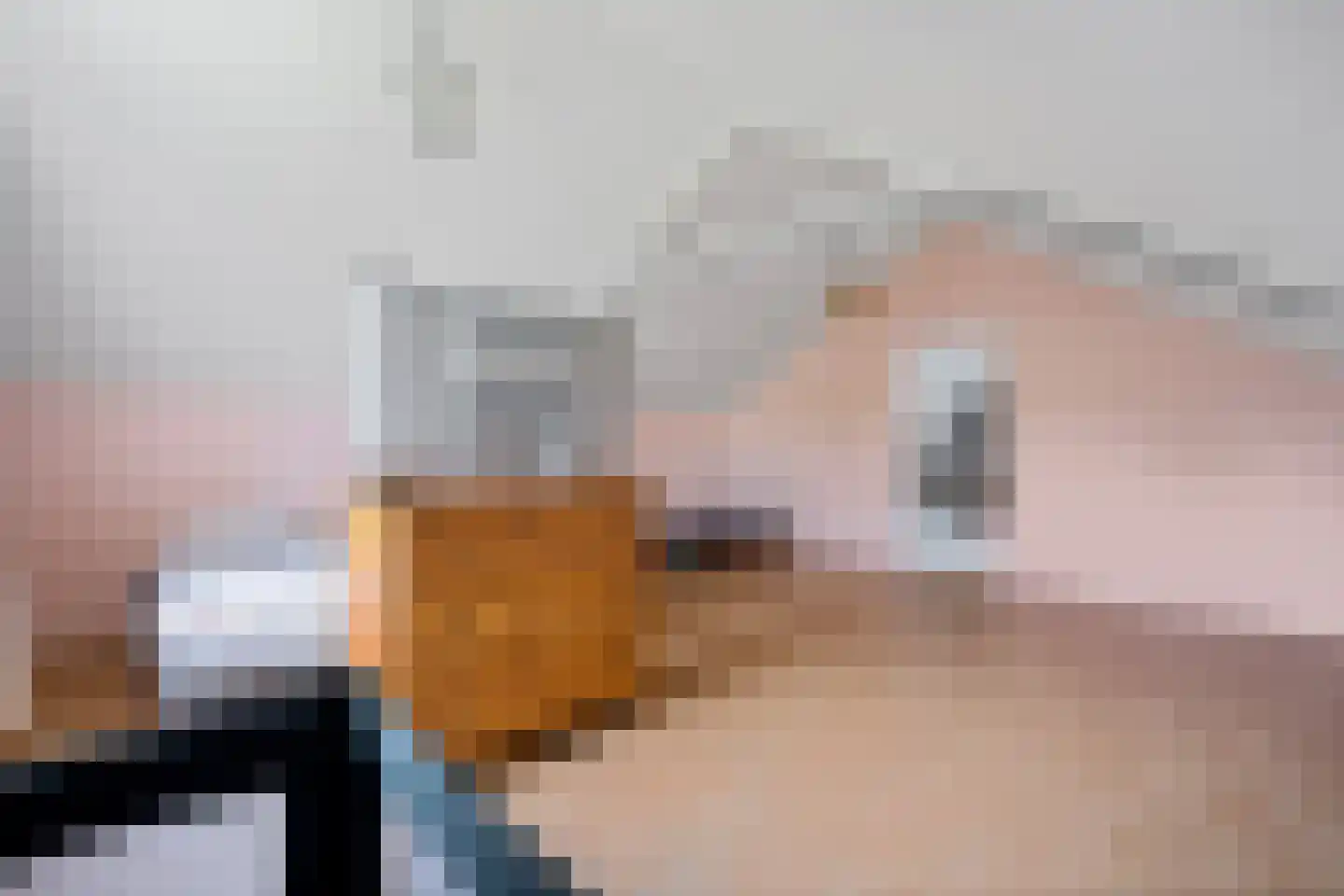 Bosbouwkamp 16 Vledder thumbnail 42