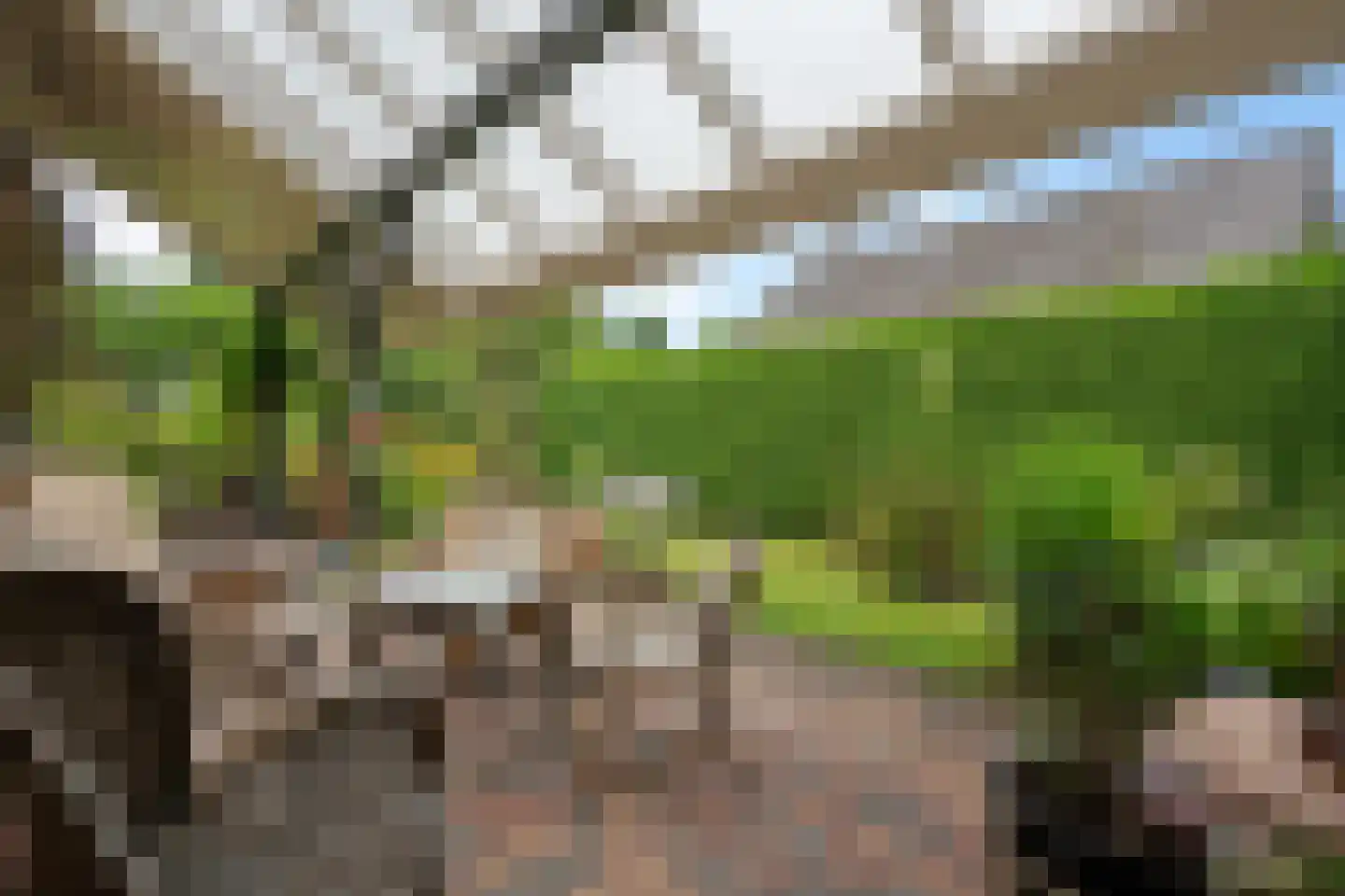 Bosbouwkamp 16 Vledder thumbnail 46