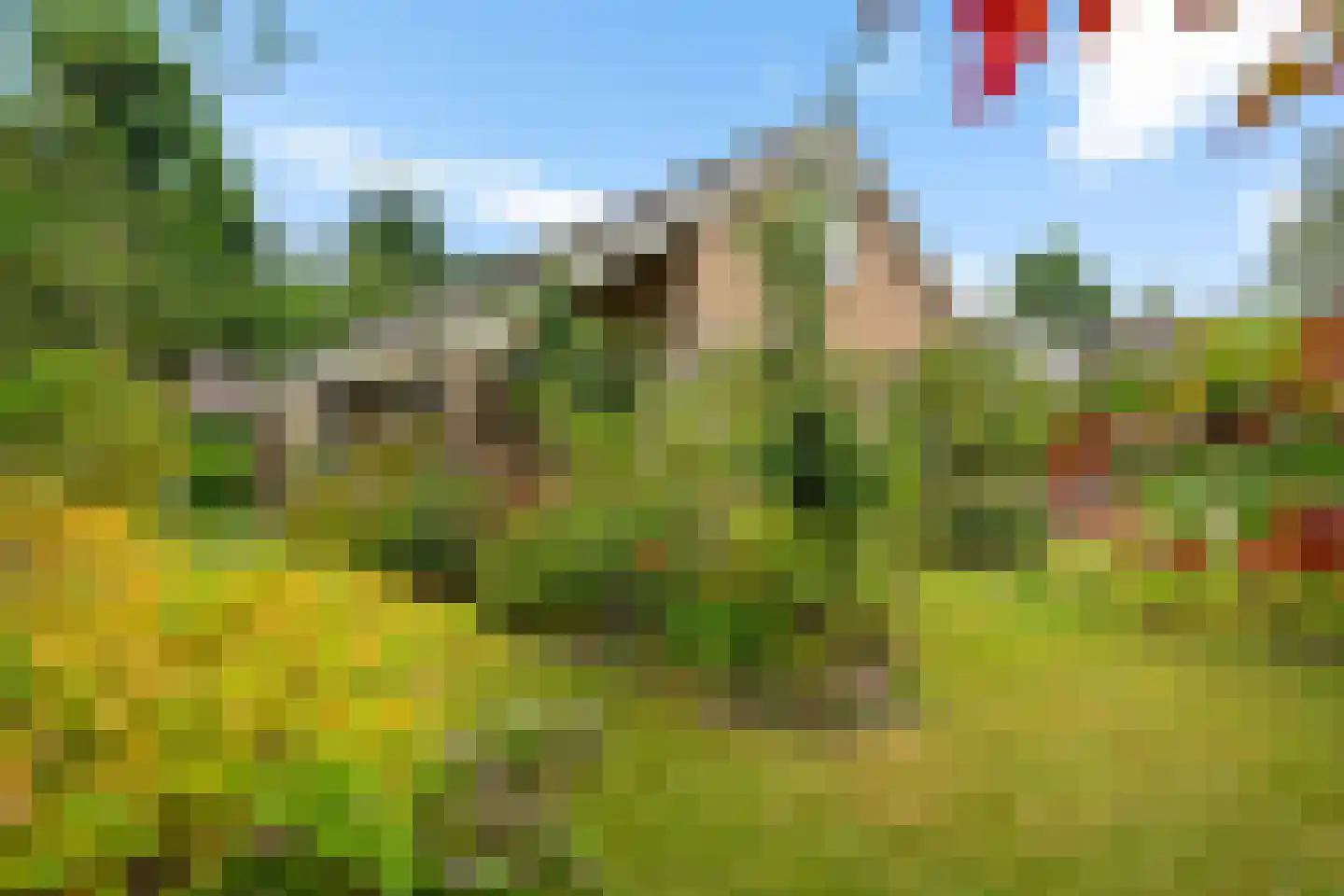 Bosbouwkamp 16 Vledder thumbnail 49