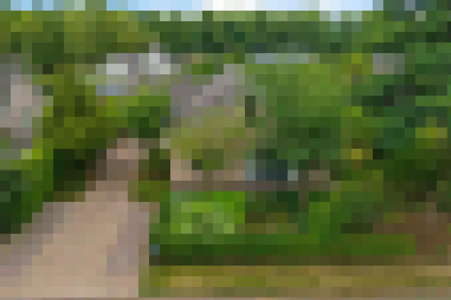 Bosbouwkamp 16 Vledder thumbnail 5