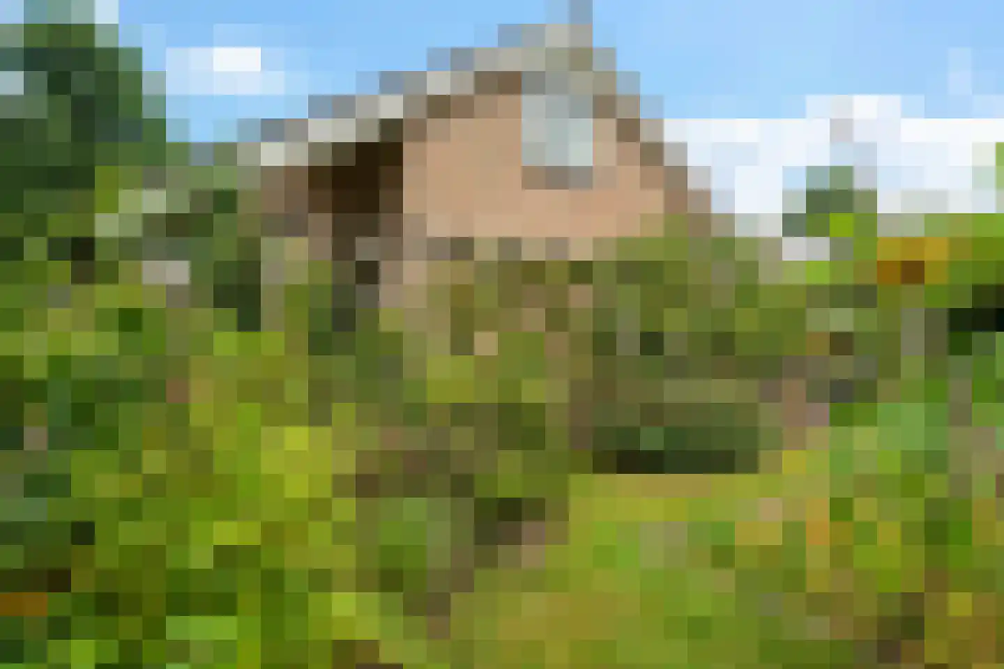 Bosbouwkamp 16 Vledder thumbnail 50