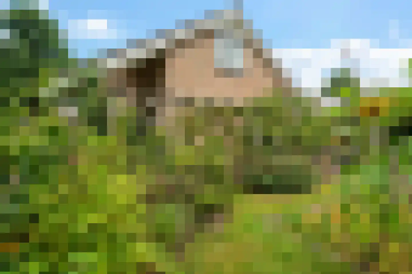 Bosbouwkamp 16 Vledder thumbnail 50