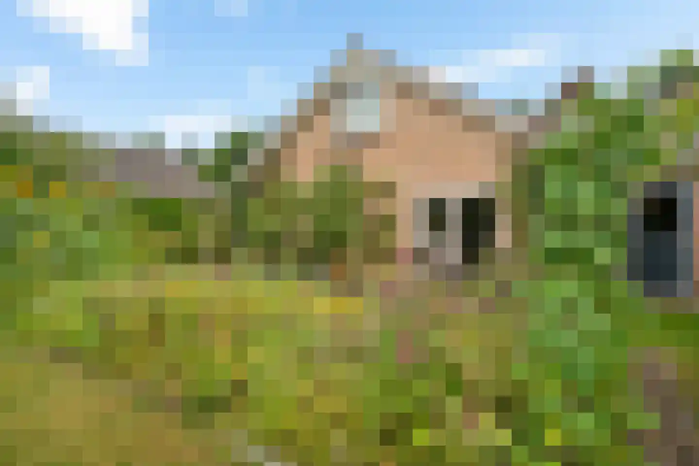 Bosbouwkamp 16 Vledder thumbnail 51
