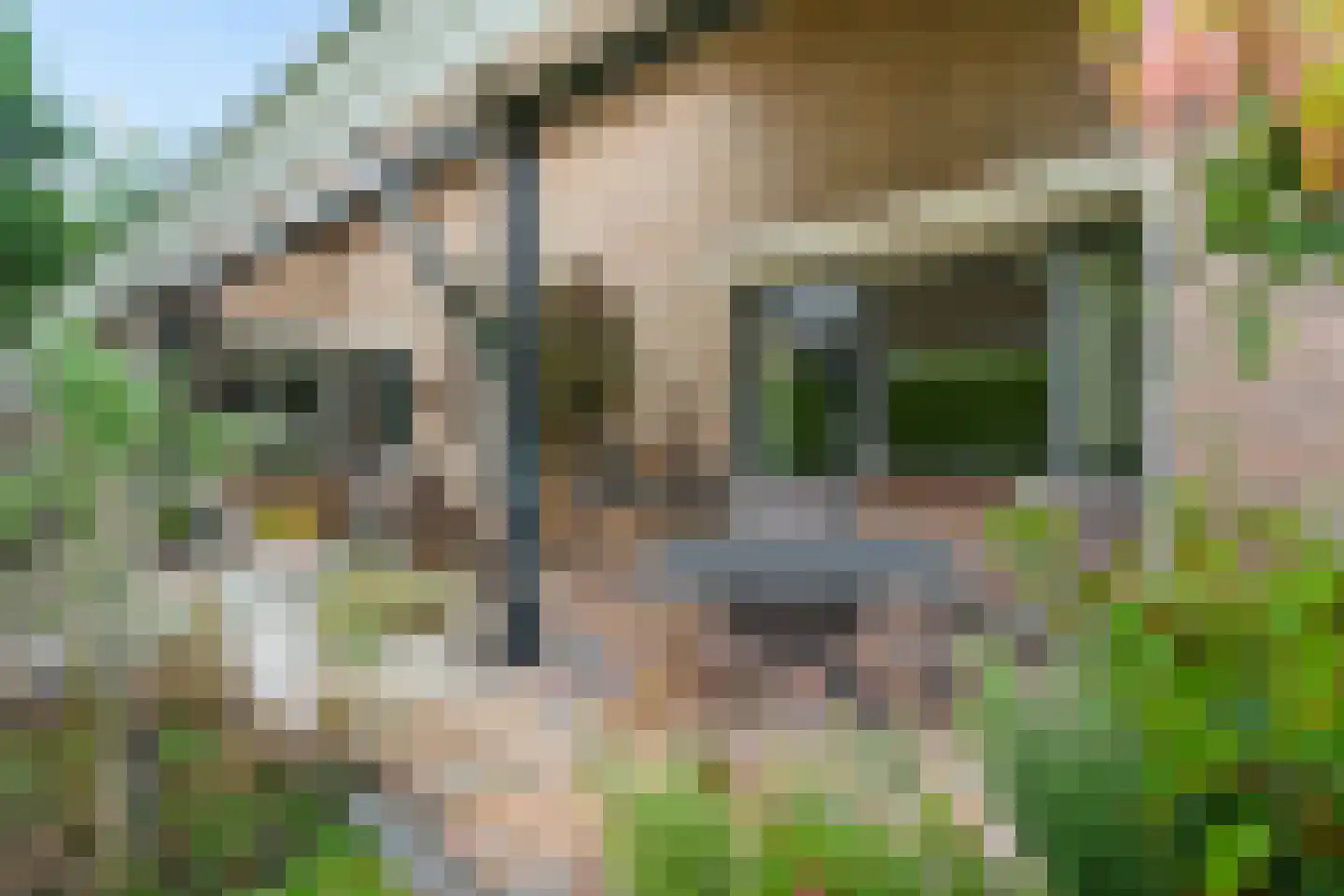 Bosbouwkamp 16 Vledder thumbnail 53