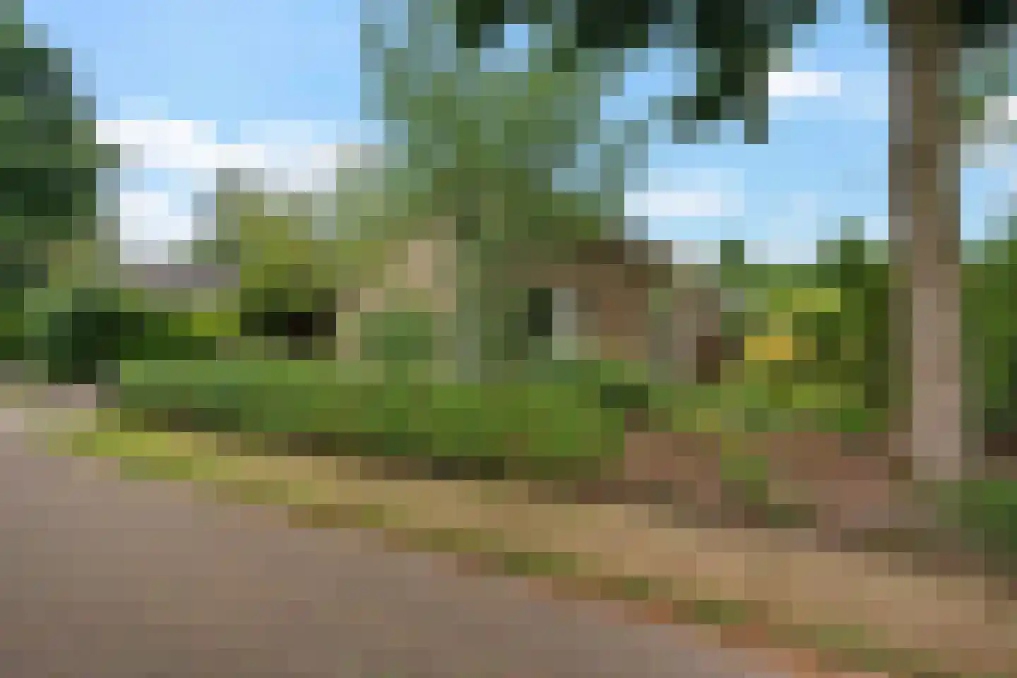 Bosbouwkamp 16 Vledder thumbnail 7