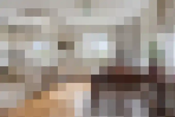 Bosbouwkamp 29 Vledder thumbnail 11