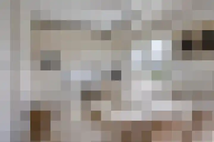 Bosbouwkamp 29 Vledder thumbnail 12