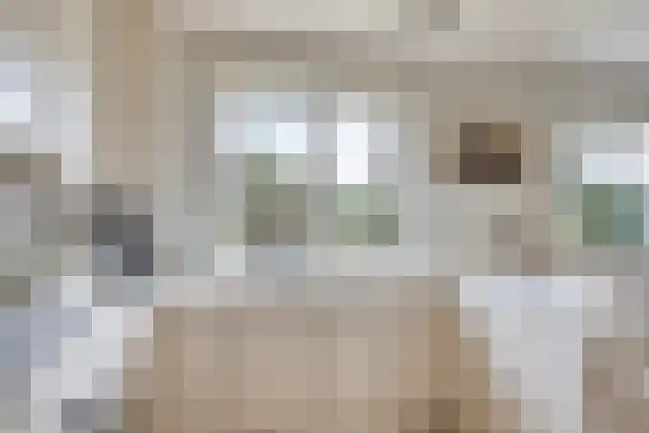 Bosbouwkamp 29 Vledder thumbnail 13