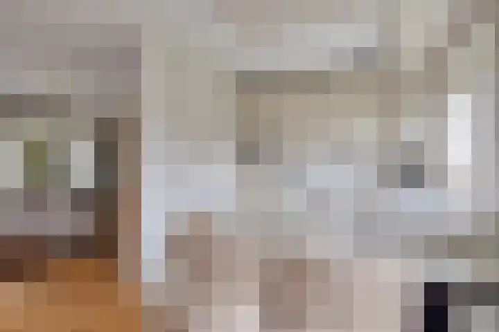Bosbouwkamp 29 Vledder thumbnail 14
