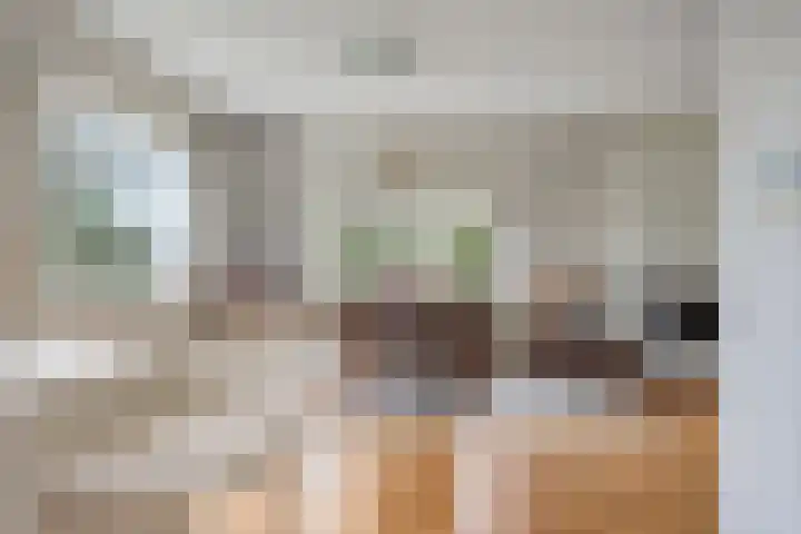 Bosbouwkamp 29 Vledder thumbnail 15