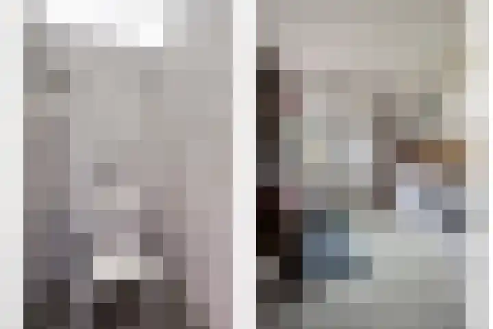 Bosbouwkamp 29 Vledder thumbnail 19