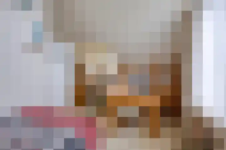 Bosbouwkamp 29 Vledder thumbnail 24