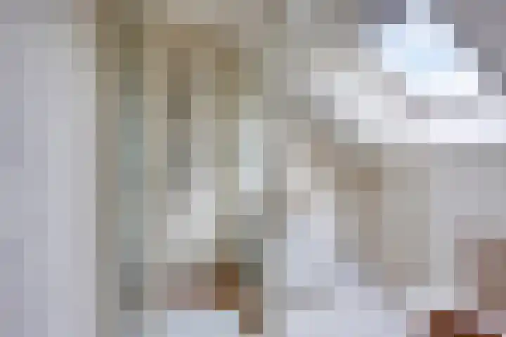 Bosbouwkamp 29 Vledder thumbnail 25
