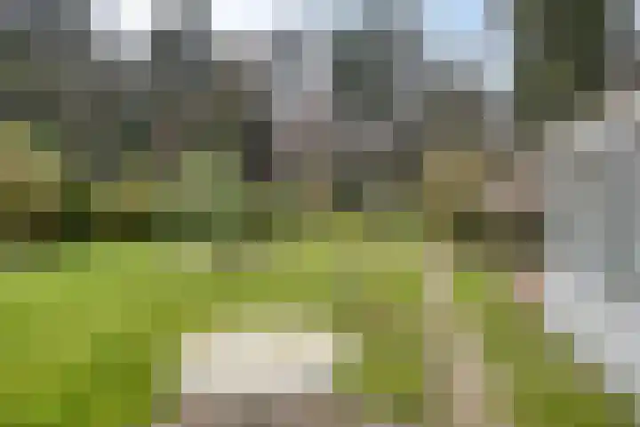 Bosbouwkamp 29 Vledder thumbnail 26