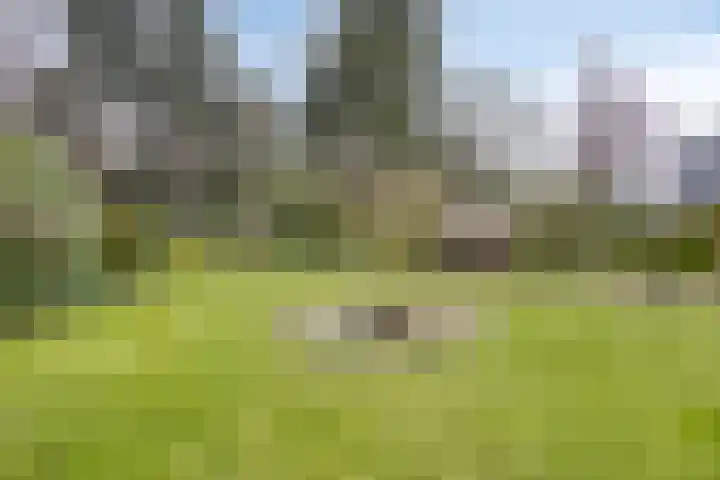 Bosbouwkamp 29 Vledder thumbnail 30