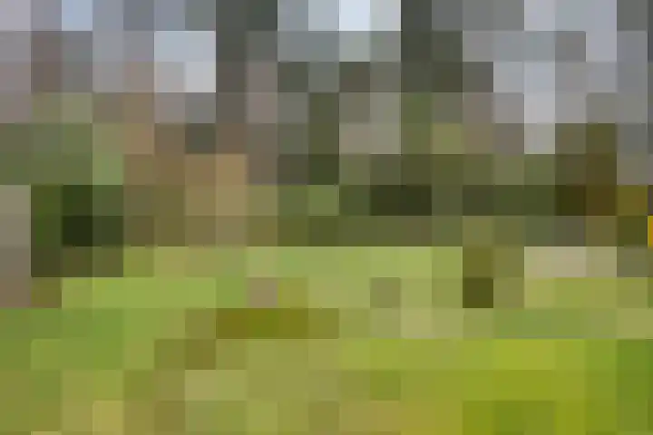 Bosbouwkamp 29 Vledder thumbnail 31