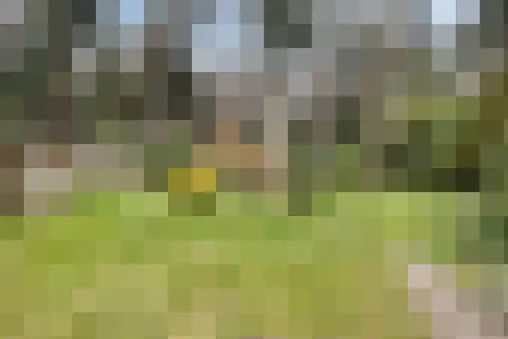 Bosbouwkamp 29 Vledder thumbnail 32