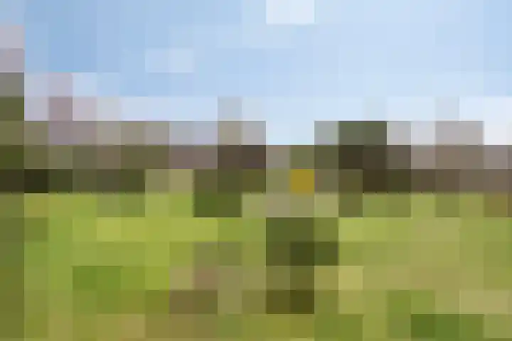 Bosbouwkamp 29 Vledder thumbnail 33