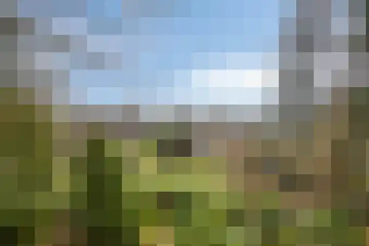 Bosbouwkamp 29 Vledder thumbnail 34