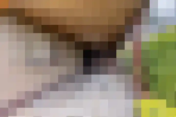 Bosbouwkamp 29 Vledder thumbnail 36