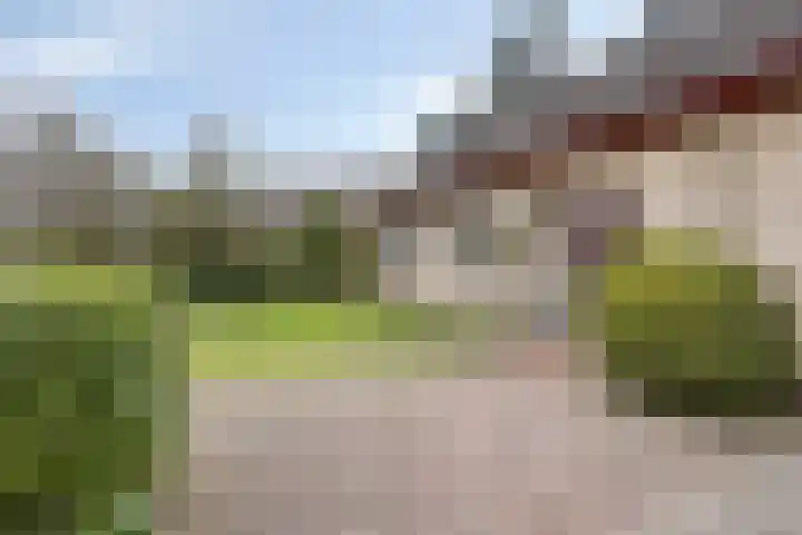 Bosbouwkamp 29 Vledder thumbnail 37