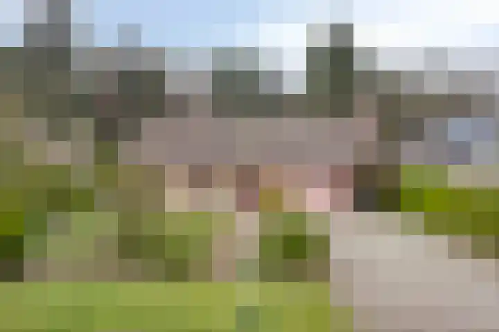Bosbouwkamp 29 Vledder thumbnail 38