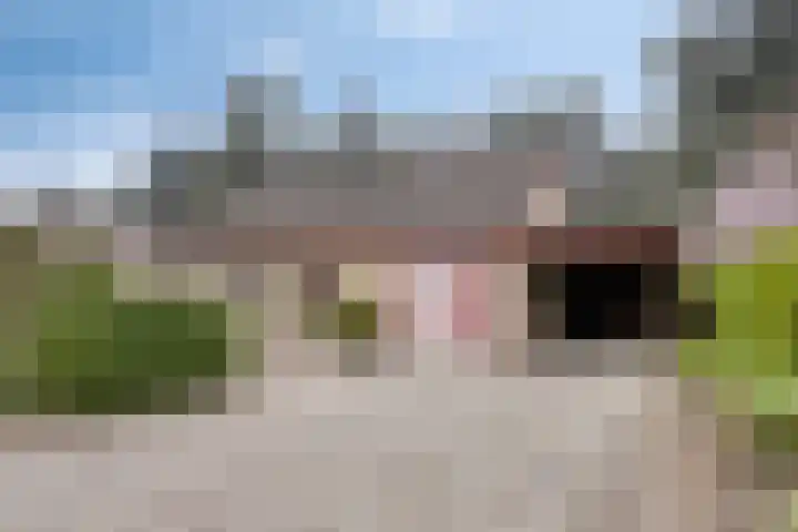 Bosbouwkamp 29 Vledder thumbnail 4