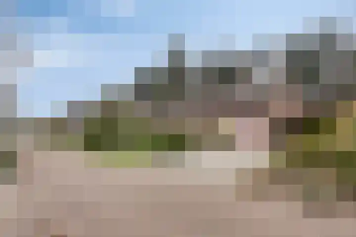 Bosbouwkamp 29 Vledder thumbnail 40