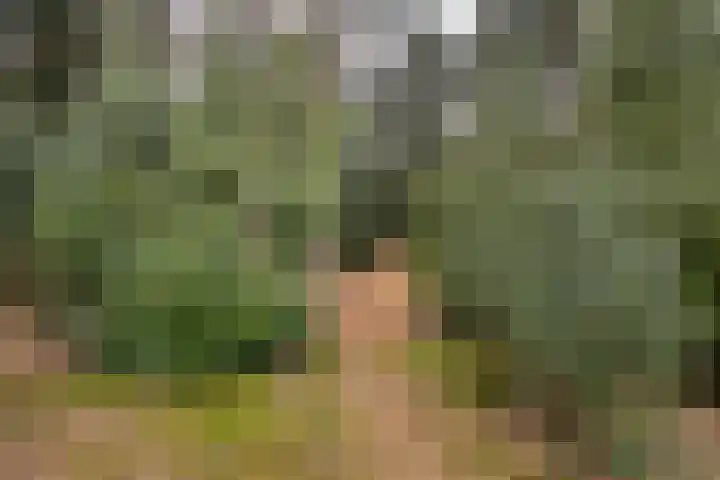 Bosbouwkamp 29 Vledder thumbnail 42