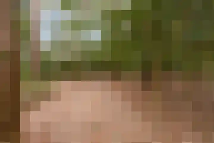 Bosbouwkamp 29 Vledder thumbnail 43