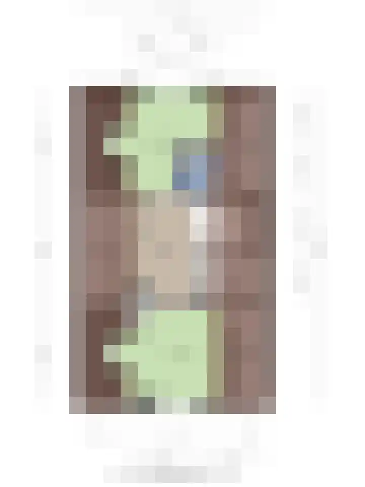 Bosbouwkamp 29 Vledder thumbnail 46