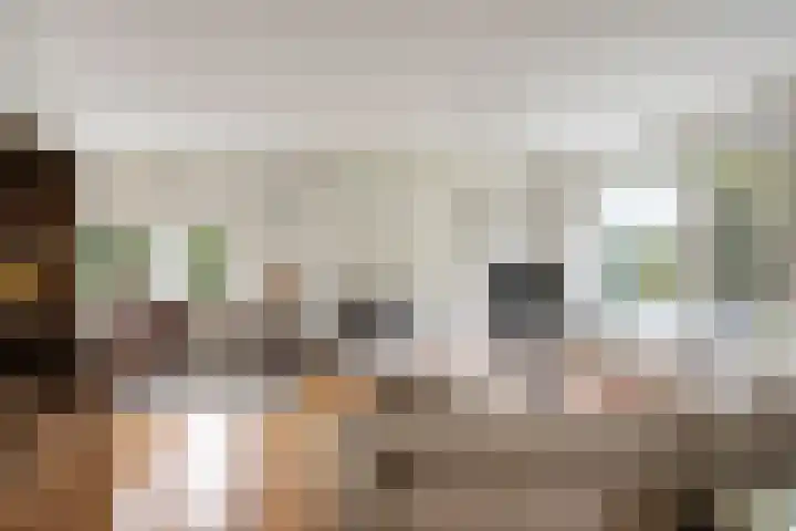 Bosbouwkamp 29 Vledder thumbnail 6